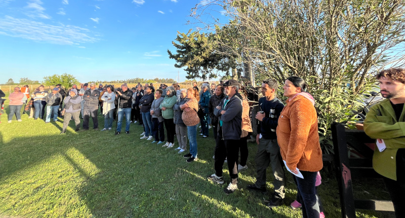 Texto descriptivo de la imagen