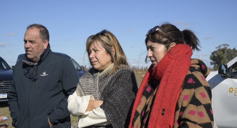 Texto descriptivo de la imagen