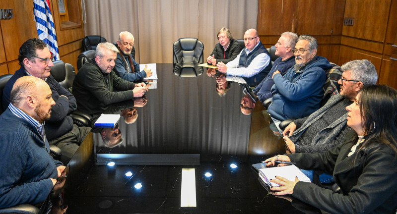 Texto descriptivo de la imagen