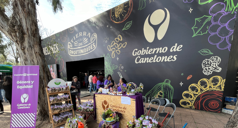 Texto descriptivo de la imagen