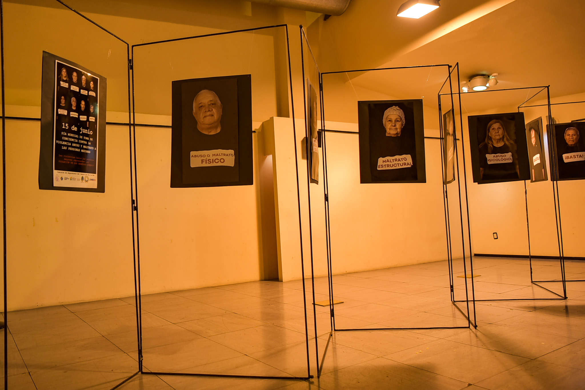 Texto descriptivo de la imagen