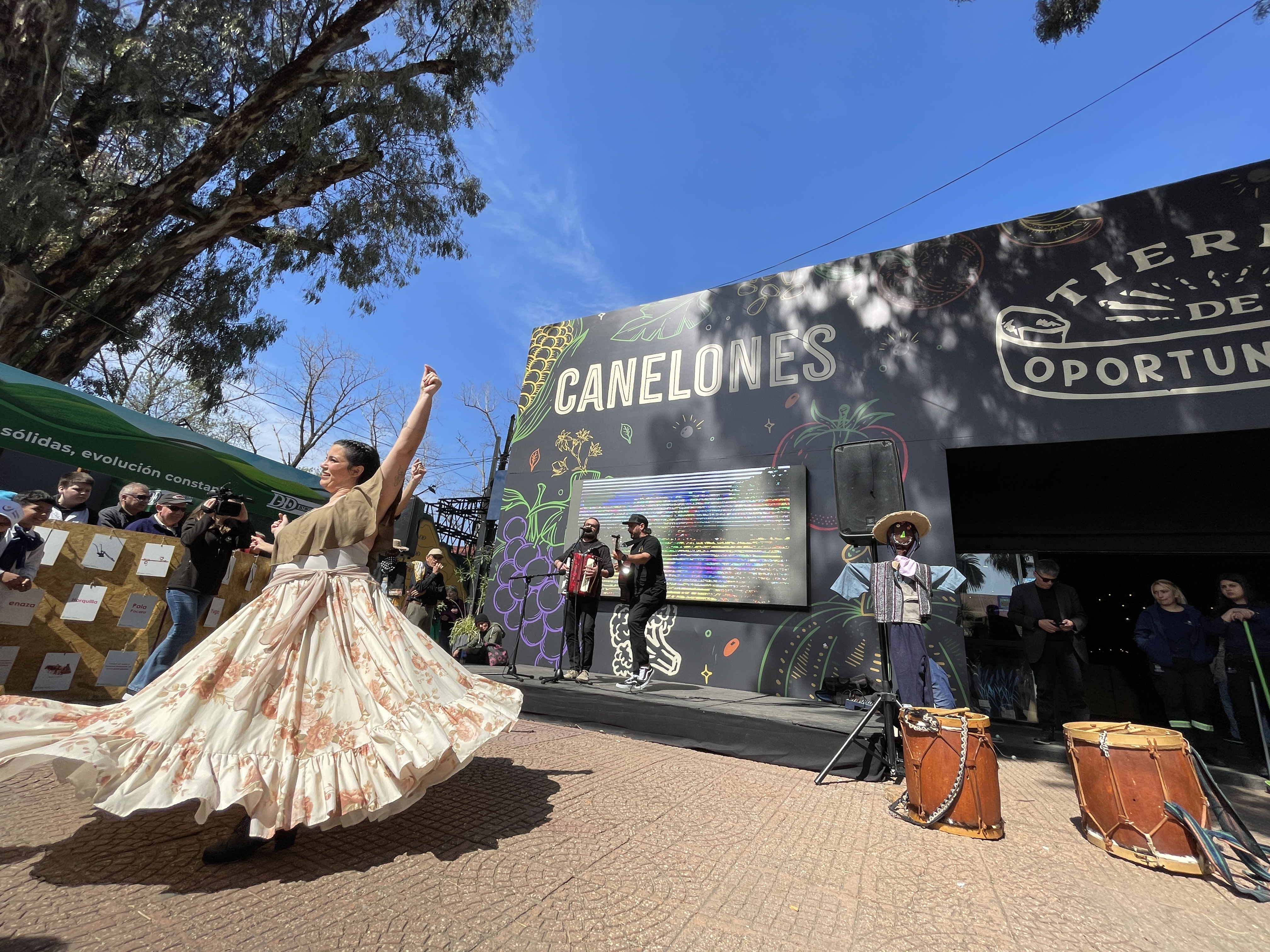 Texto descriptivo de la imagen