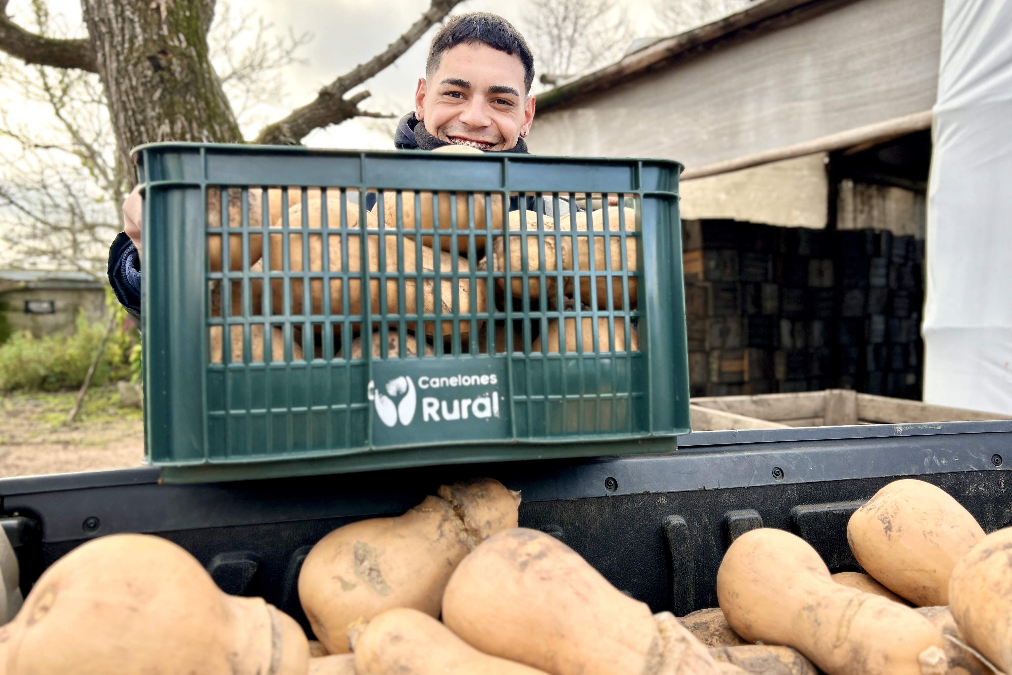 Texto descriptivo de la imagen