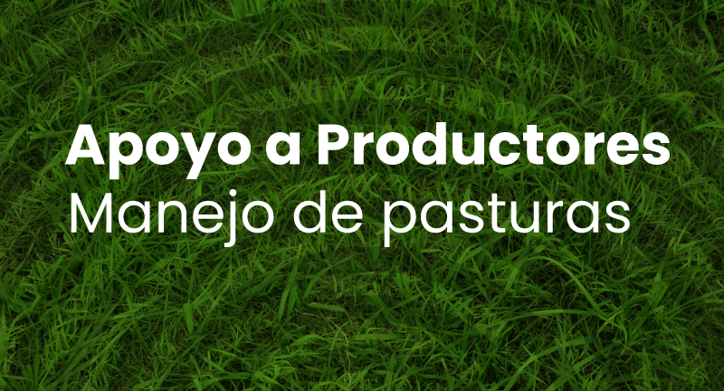 Texto descriptivo de la imagen