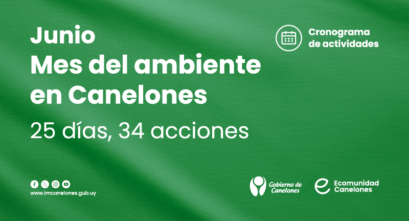 Texto descriptivo de la imagen