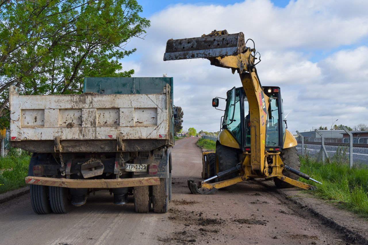 Texto descriptivo de la imagen