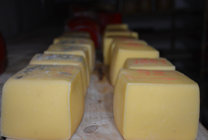 Texto descriptivo de la imagen