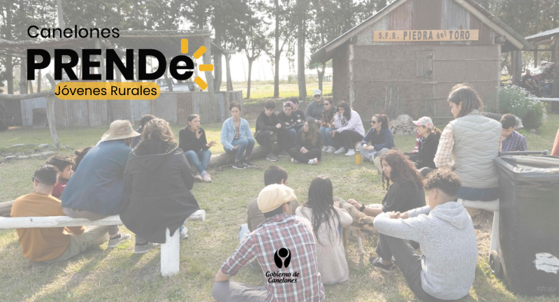 Texto descriptivo de la imagen