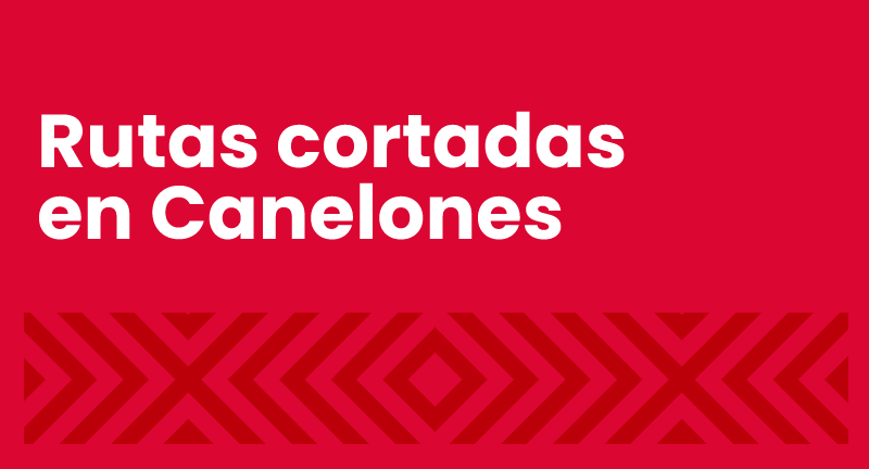 Texto descriptivo de la imagen