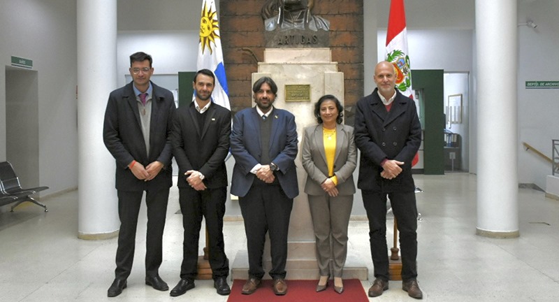 Texto descriptivo de la imagen