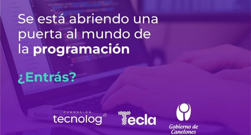 Texto descriptivo de la imagen