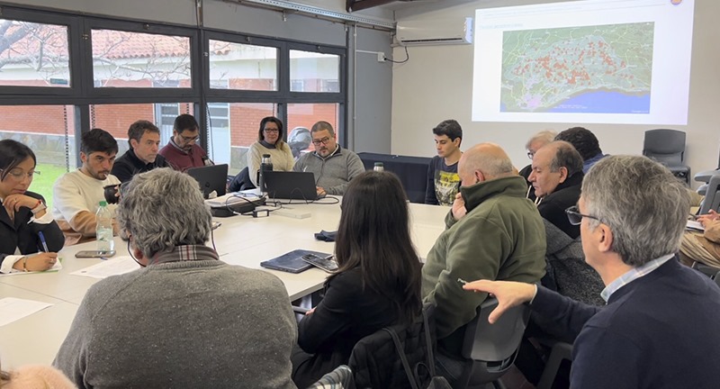 Texto descriptivo de la imagen