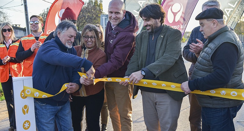 Texto descriptivo de la imagen