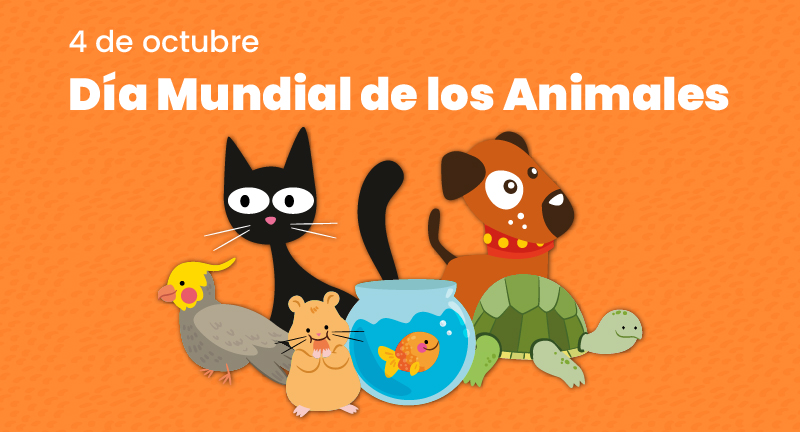 Texto descriptivo de la imagen