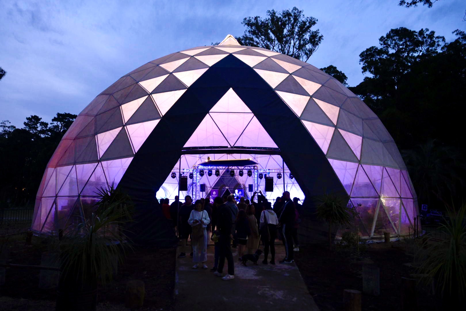 Texto descriptivo de la imagen