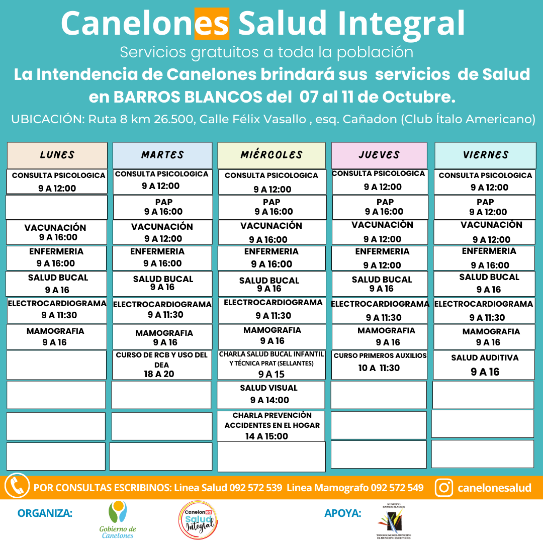 Texto descriptivo de la imagen