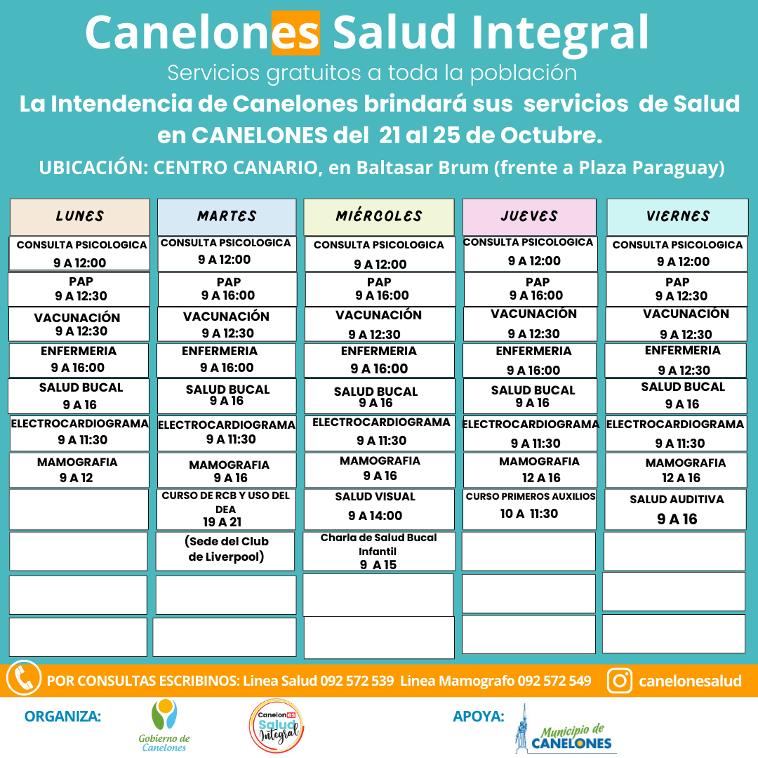 Texto descriptivo de la imagen