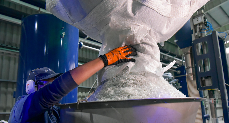 Texto descriptivo de la imagen