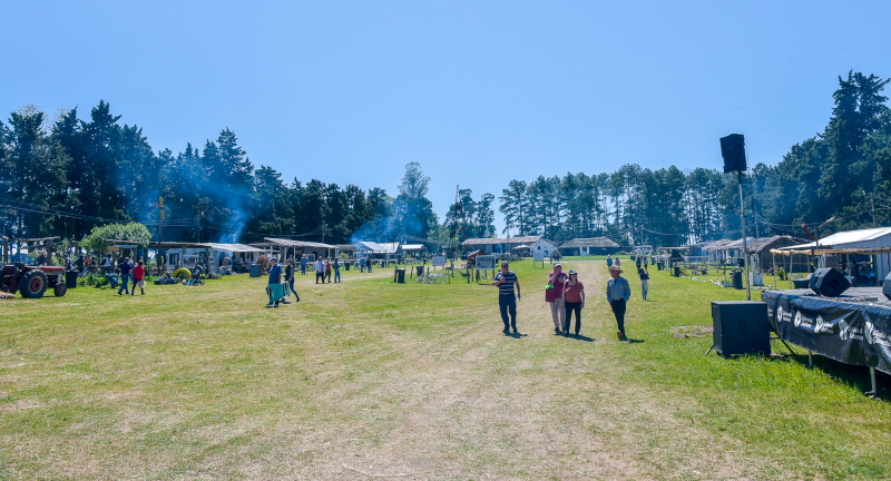 Texto descriptivo de la imagen