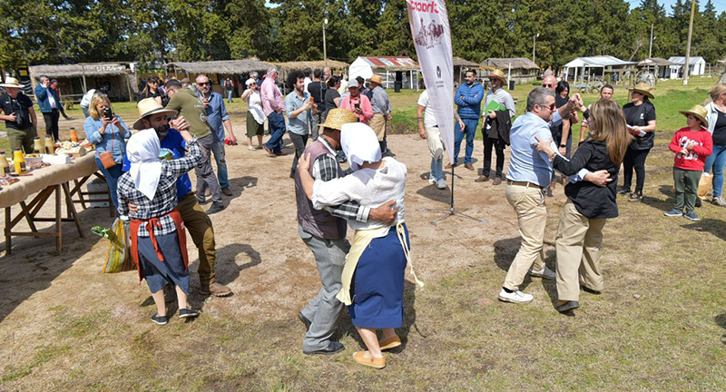 Texto descriptivo de la imagen