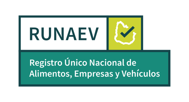 Texto descriptivo de la imagen