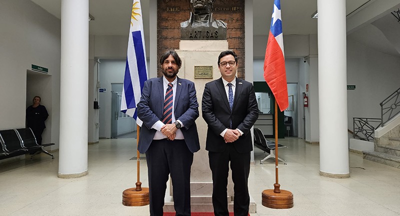 Texto descriptivo de la imagen