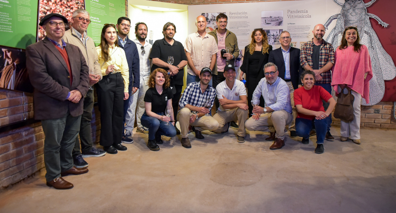 Texto descriptivo de la imagen