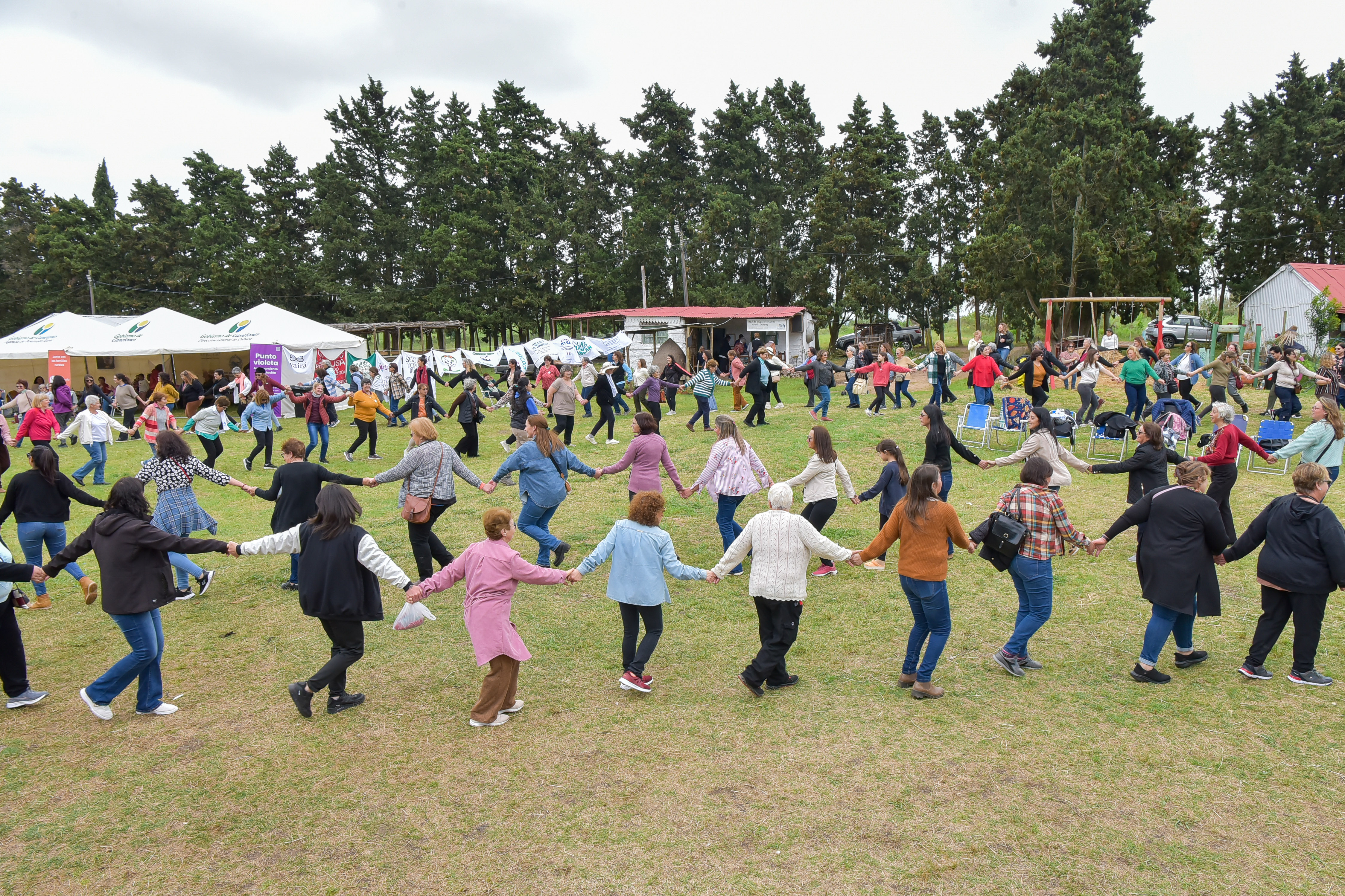 Texto descriptivo de la imagen