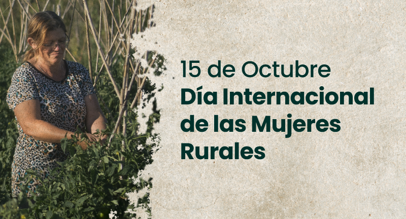 Texto descriptivo de la imagen