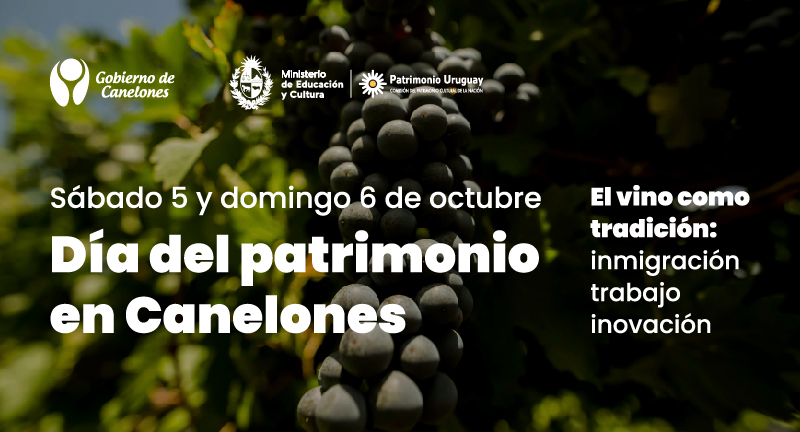 Texto descriptivo de la imagen