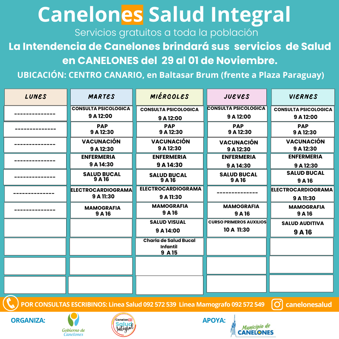 Texto descriptivo de la imagen