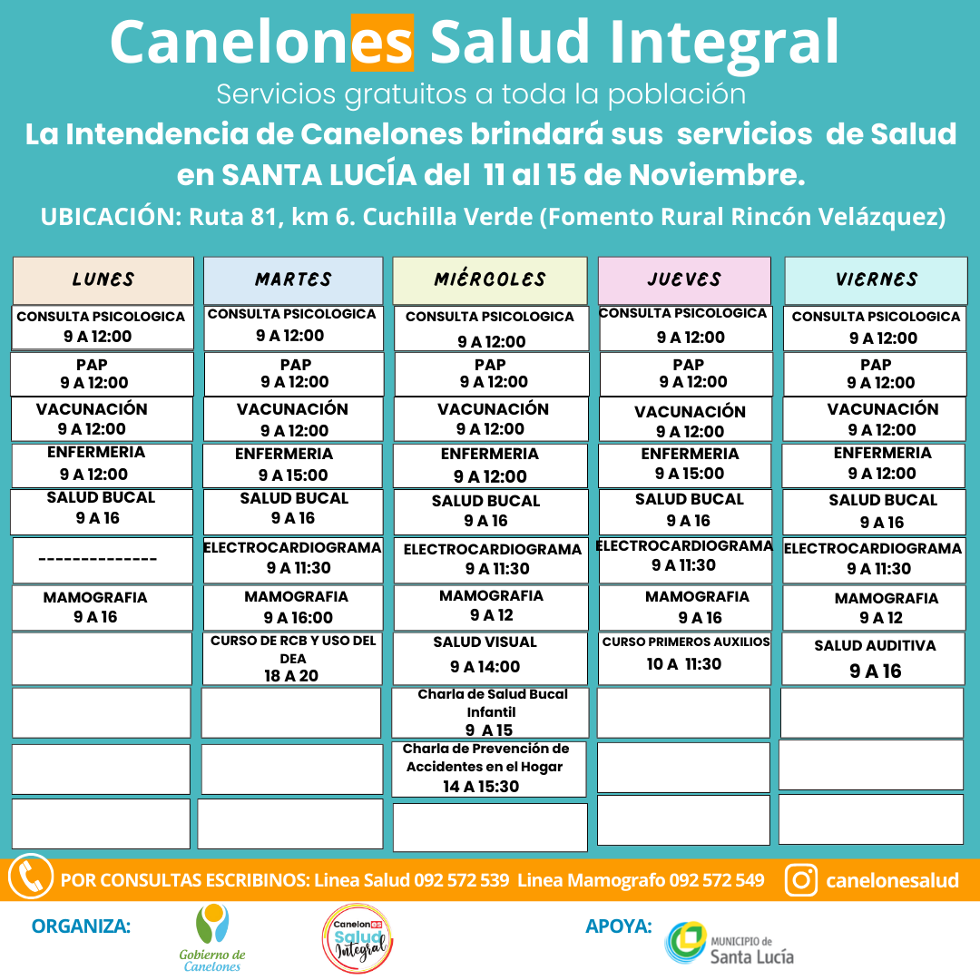 Texto descriptivo de la imagen