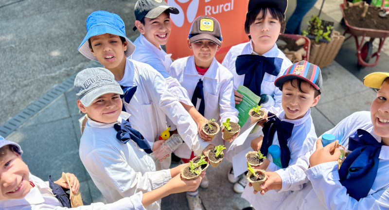 Texto descriptivo de la imagen