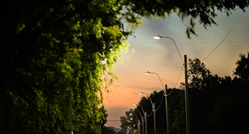 Texto descriptivo de la imagen