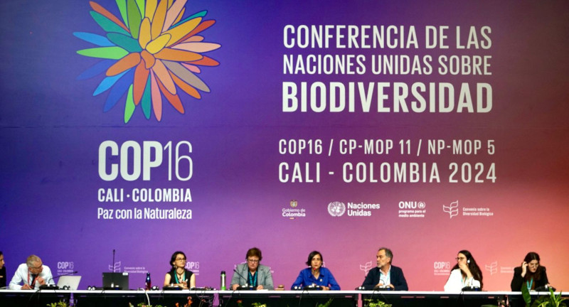 Texto descriptivo de la imagen