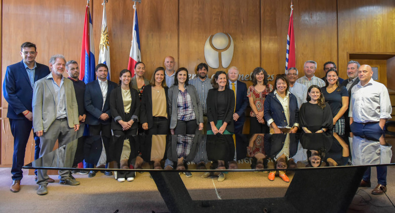 Texto descriptivo de la imagen