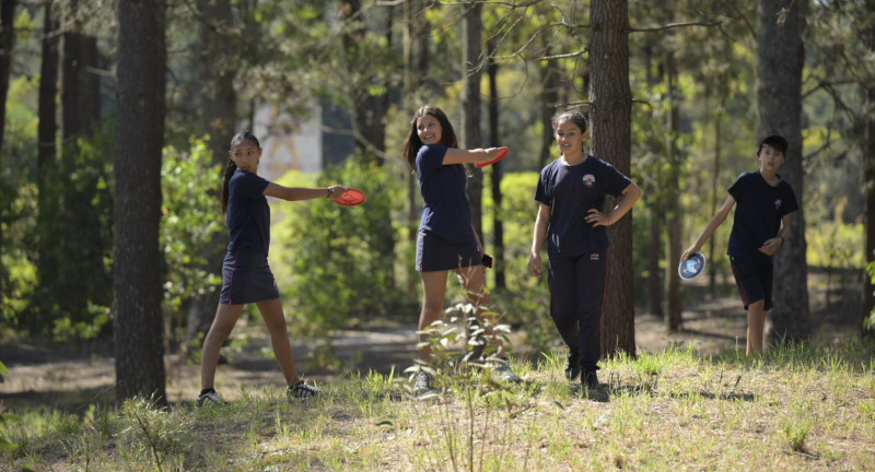 Texto descriptivo de la imagen