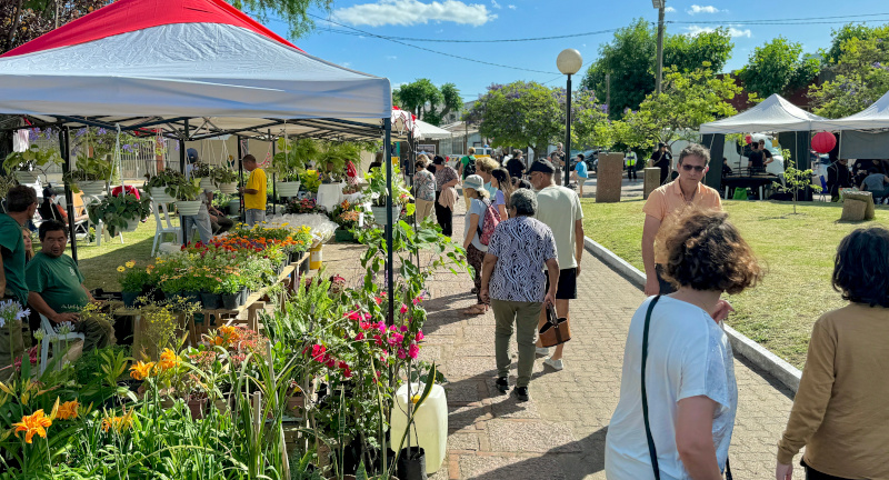 Texto descriptivo de la imagen