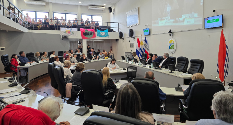 Texto descriptivo de la imagen