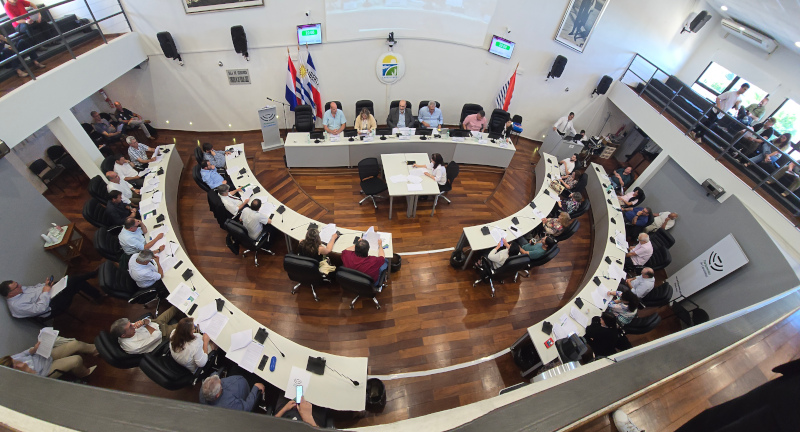 Texto descriptivo de la imagen