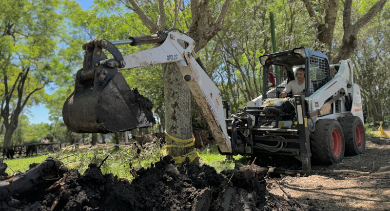 Texto descriptivo de la imagen