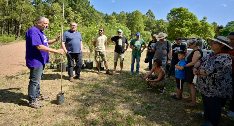 Texto descriptivo de la imagen