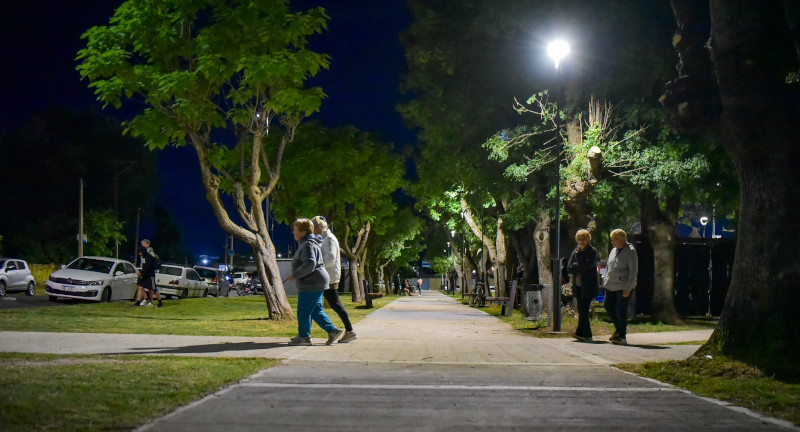 Texto descriptivo de la imagen