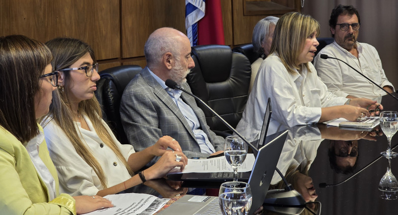 Texto descriptivo de la imagen