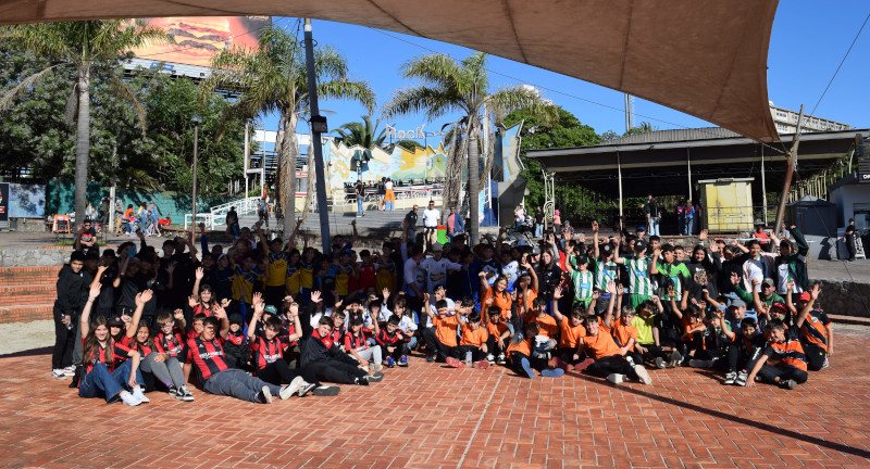 Texto descriptivo de la imagen