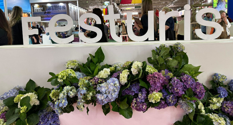 Texto descriptivo de la imagen