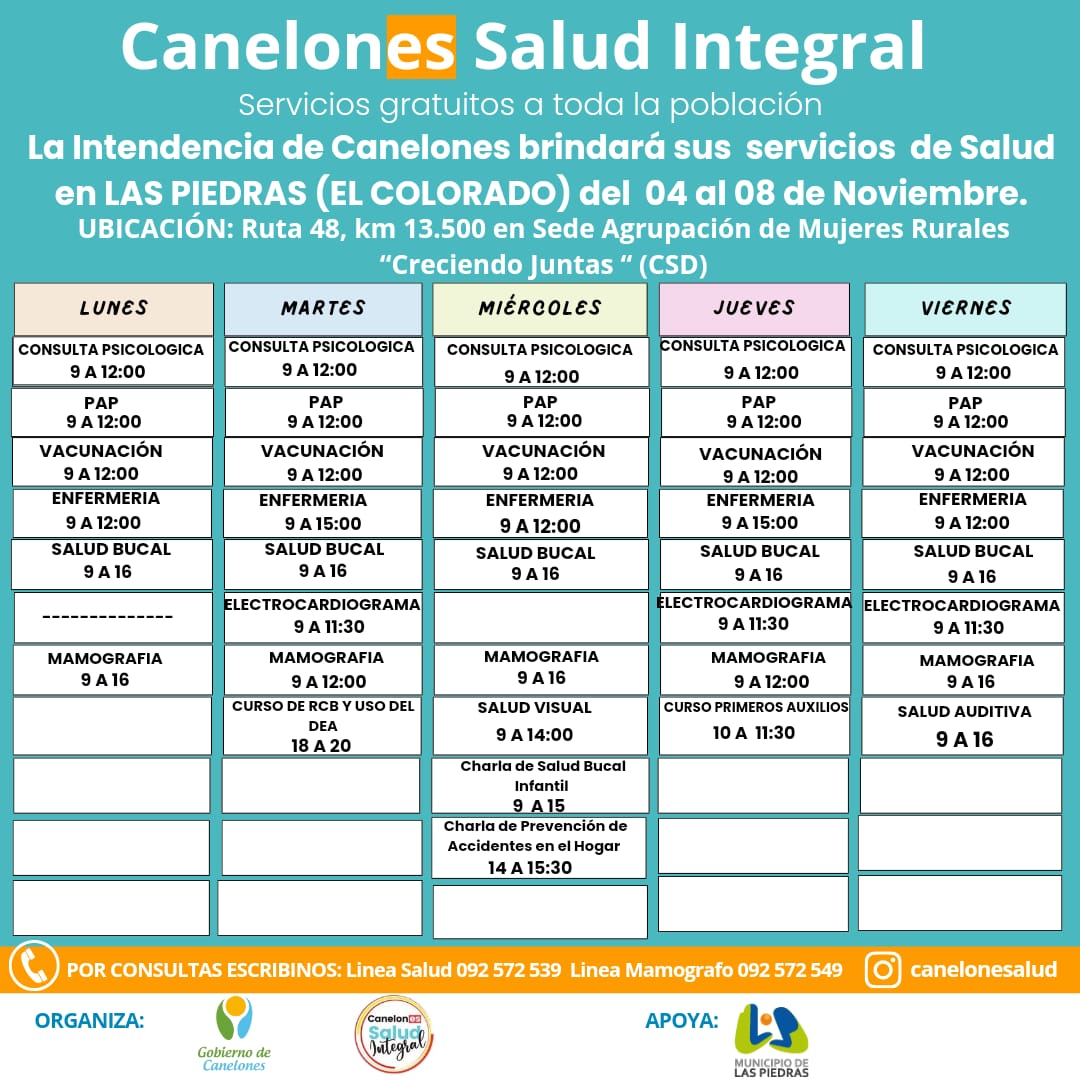 Texto descriptivo de la imagen