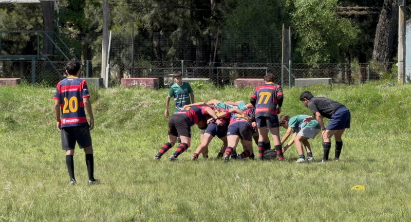 Texto descriptivo de la imagen