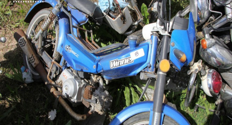 Texto descriptivo de la imagen