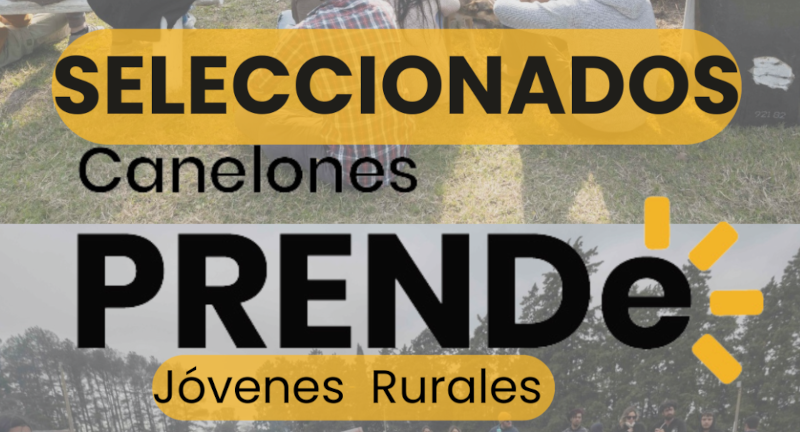 Texto descriptivo de la imagen